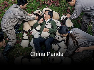 China Panda online delivery