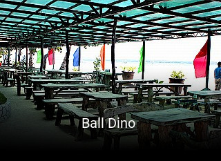 Ball Dino  online bestellen