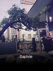 Daphne essen bestellen