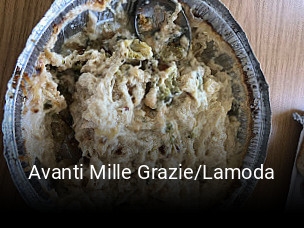 Avanti Mille Grazie/Lamoda online bestellen