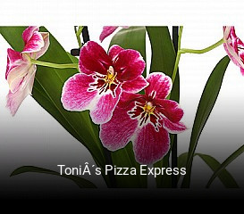 ToniÂ´s Pizza Express online bestellen