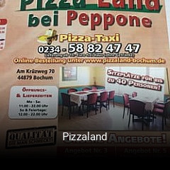 Pizzaland online delivery